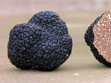 Искусство добывать трюфель Искусство добывать трюфель