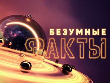 Безумные факты Безумные факты