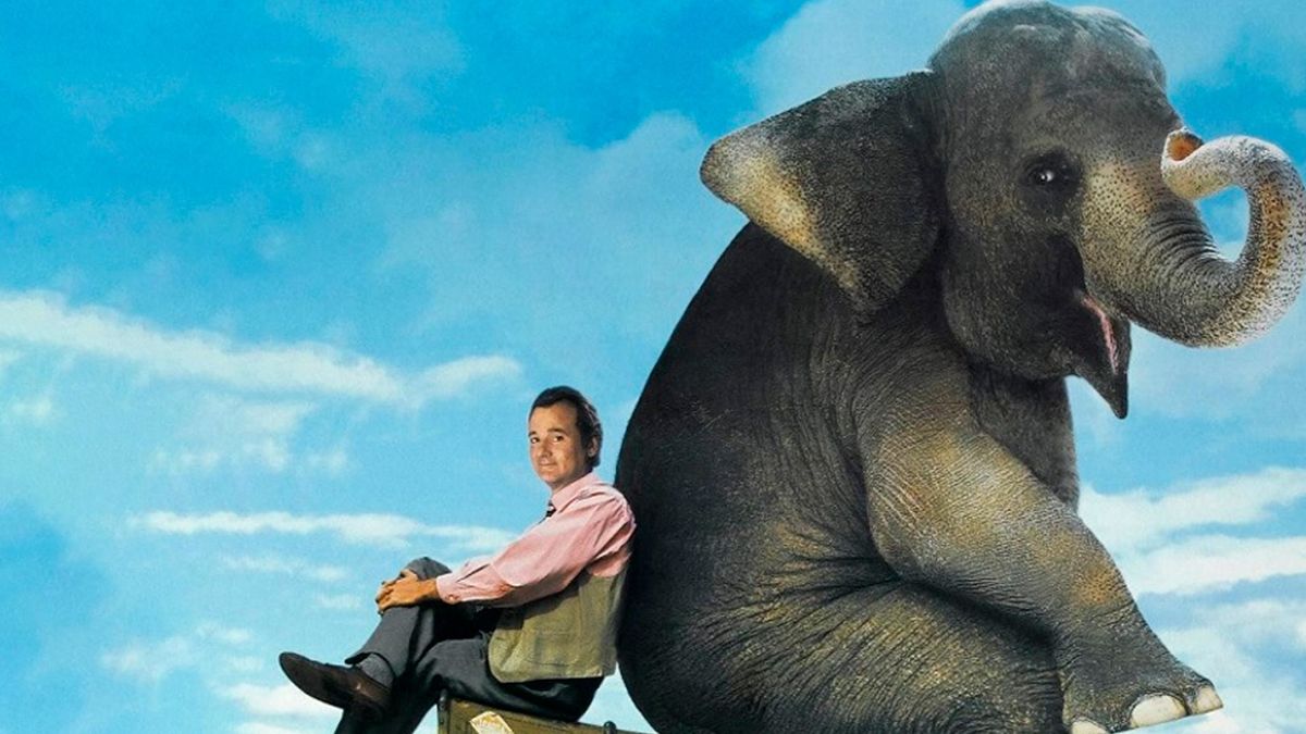 Больше, чем жизнь