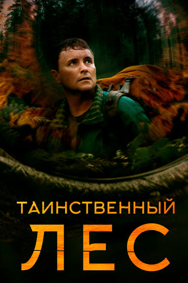 Таинственный лес Таинственный лес