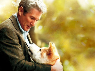 Хатико: самый верный друг