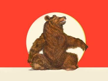 Забавный зверь мишка