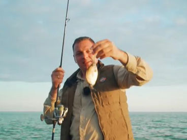 Черноморские приключения. Продолжение Черноморские приключения. Продолжение