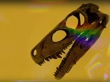 Динозавры. Как они исчезли Динозавры. Как они исчезли