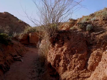 Каньон Сказка