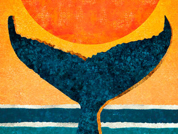 Сколько стоит кит? Сколько стоит кит?