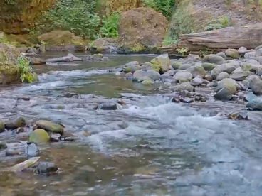 Таннер Крик Таннер Крик