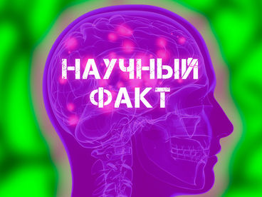 Научный факт Научный факт