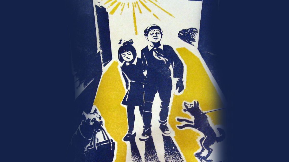 Чудак из пятого «Б»