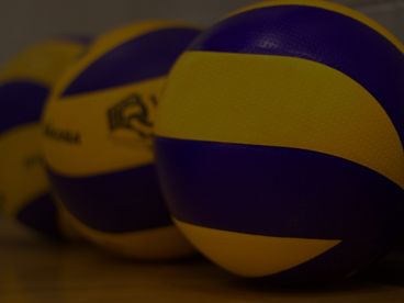 Волейбол Мужчины. Бундеслига. Плей-офф 2025/26. 1/4 финала. Гизен Гриззлис - Дюрен. Матч 2 Волейбол Мужчины. Бундеслига. Плей-офф 2025/26. 1/4 финала. Гизен Гриззлис - Дюрен. Матч 2