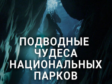 Подводные чудеса национальных парков Подводные чудеса национальных парков