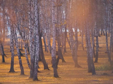 У озера Узункуль У озера Узункуль