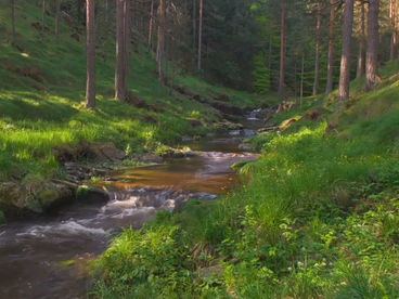 Река Бела Каменица Сербия