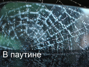 В паутине В паутине