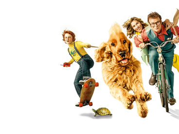 Рыжие против всех