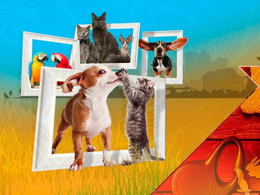 По планете с рюкзаком По планете с рюкзаком