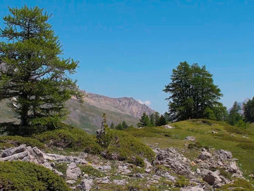 Долина Клари