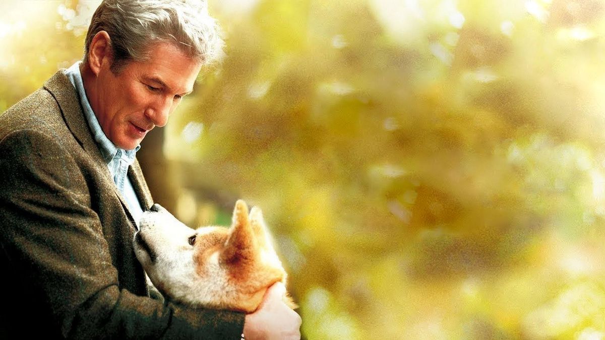 Хатико: самый верный друг