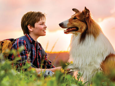 Лесси. Возвращение домой