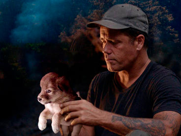 Даг – спасатель животных