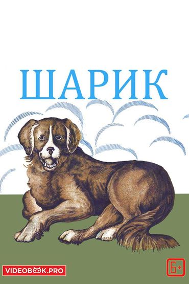 Шарик Шарик