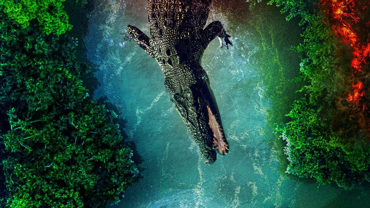 Солёные воды: Операция «Матадор»