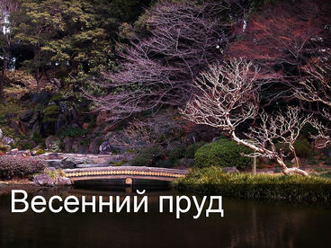 Весенний пруд Весенний пруд