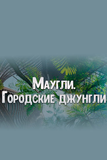 Маугли. Городские джунгли Маугли. Городские джунгли