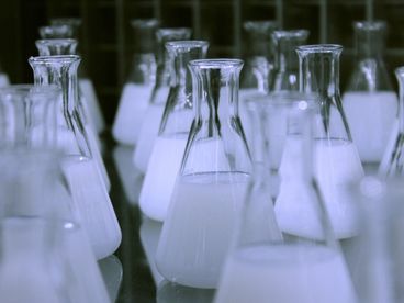 Наука Наука