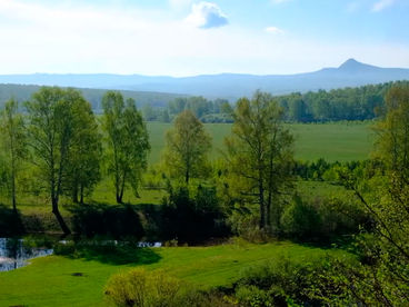 Азапкина поляна Азапкина поляна