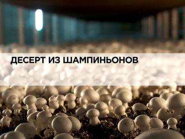 Десерт из шампиньонов Десерт из шампиньонов