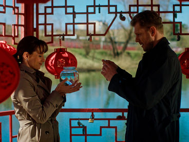 Денежное дерево