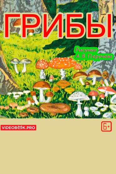 Грибы