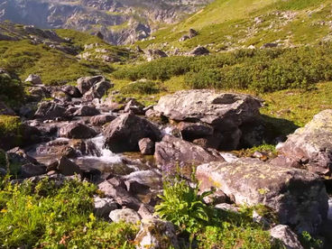 Река Кашха-Эчкичат Река Кашха-Эчкичат