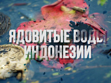 Ядовитые воды Индонезии