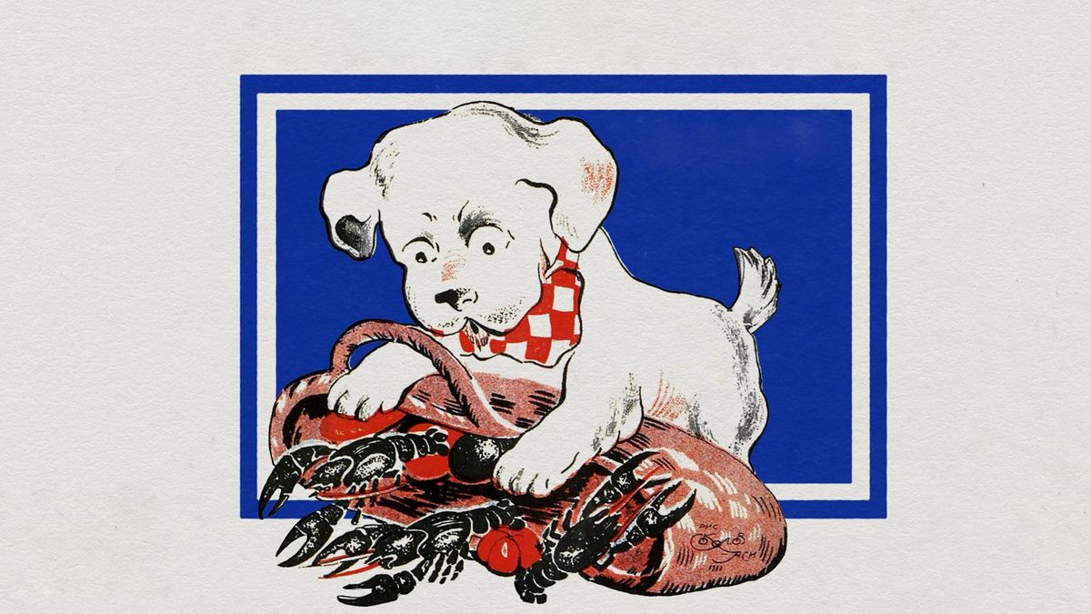 Барбос шалунишка