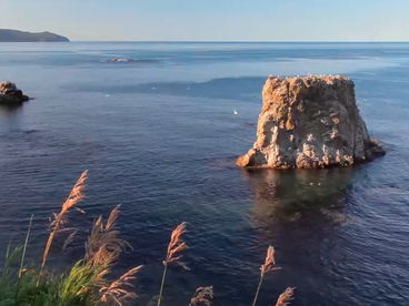 Мыс Птичий (Великан)