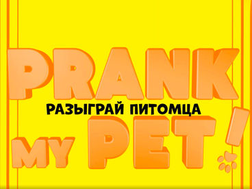 Разыграй питомца Разыграй питомца