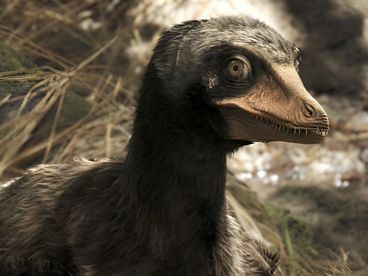 Новый взгляд на доисторическую эпоху