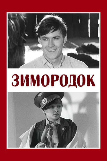 Зимородок. Художественный фильм Зимородок. Художественный фильм