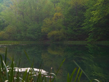 Ущелье Грза Сербия Ущелье Грза Сербия