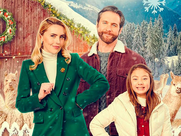 Тёплый приём на ферме альпак