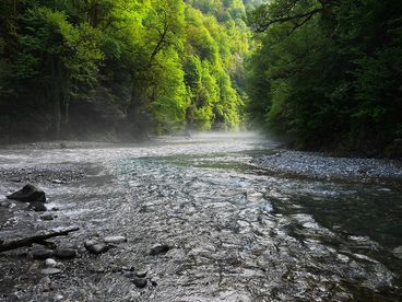 Река Сочи Река Сочи