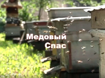 Медовый Спас. Документальный фильм