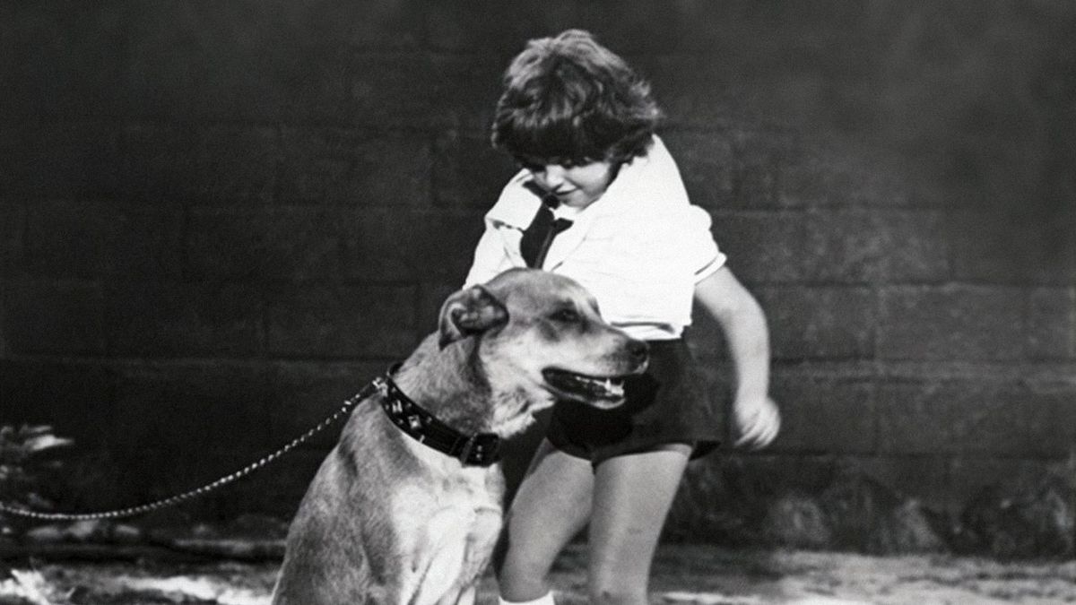 Солёный пёс