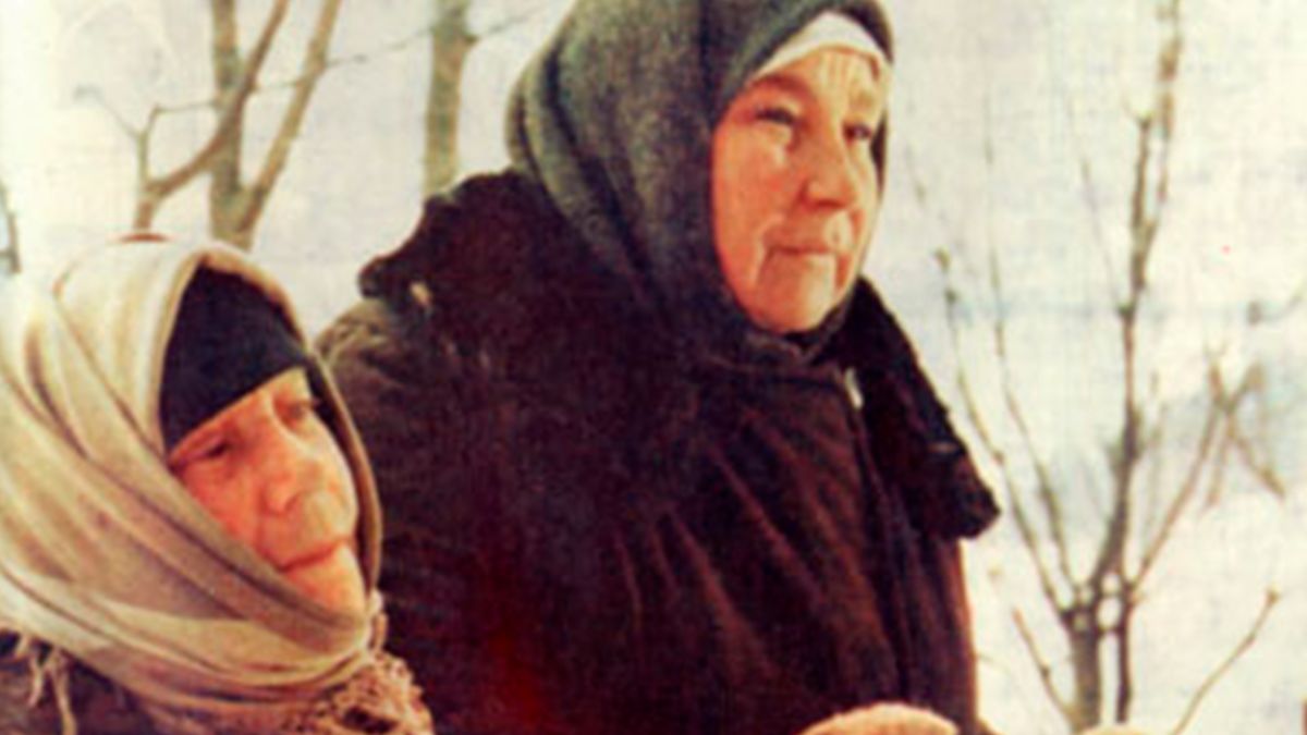 Вдовы