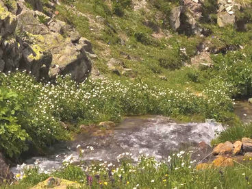 Река Серс Река Серс