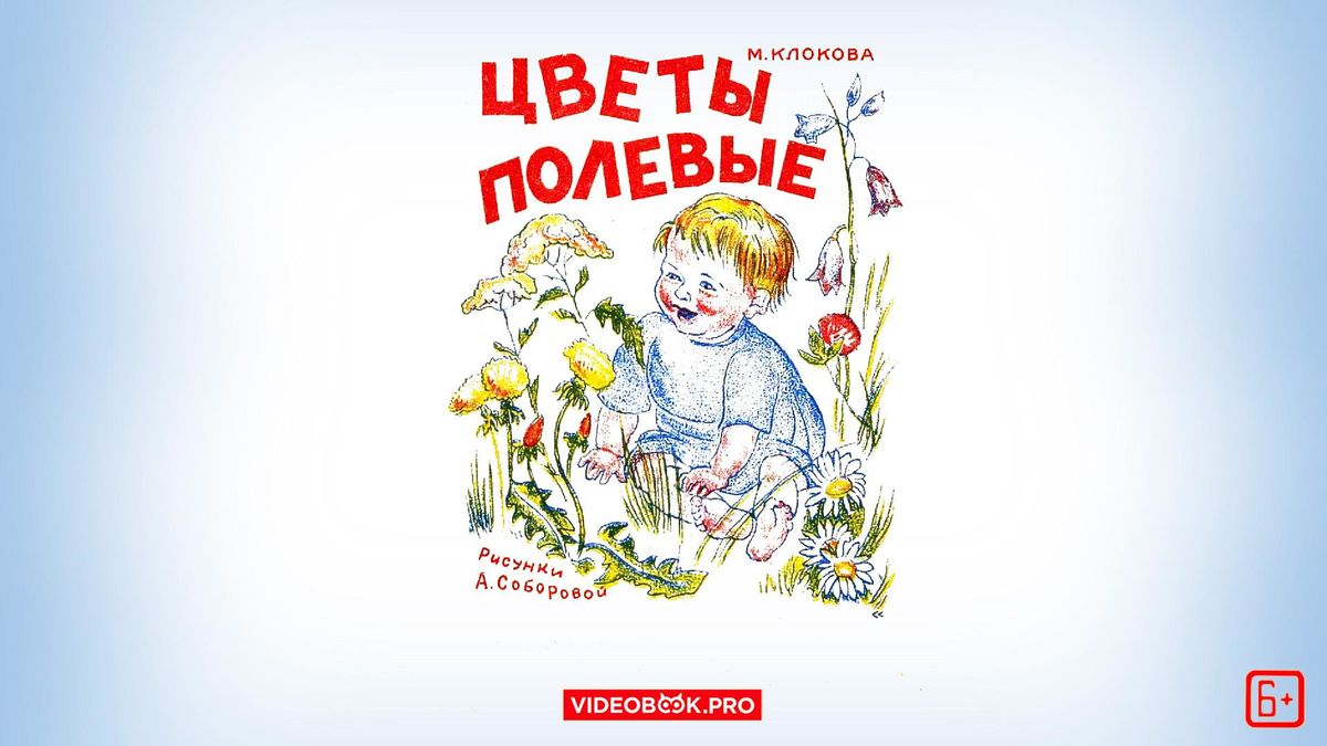 Цветы полевые