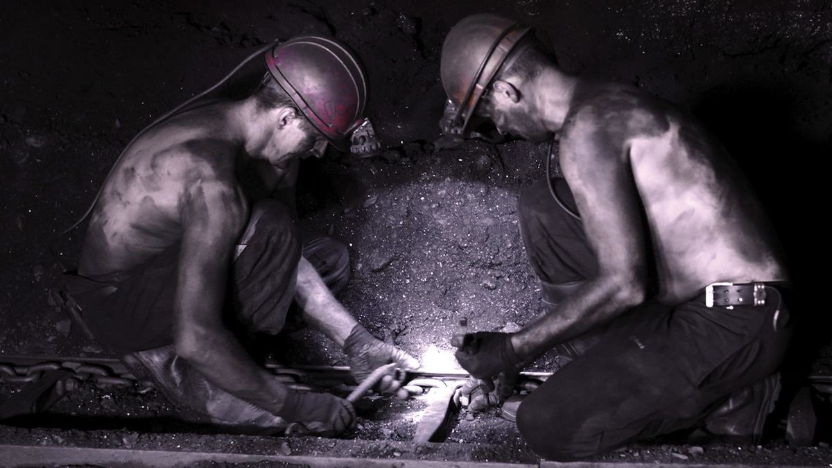 Вся наша надежда