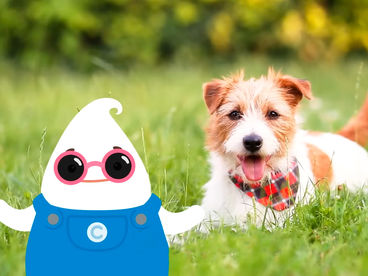 ЧиЧи ПингПинг Песенки про животных